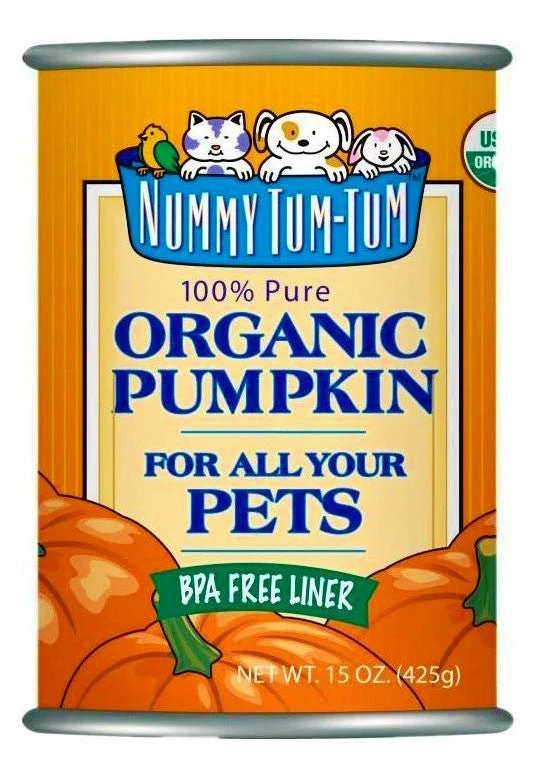 - Teething and chewing toys for puppies Nummy Tum Tum Organic Pumpkin Supplement Can (15oz/425g) - Teething and chewing toys for puppies Nummy Tum Tum Organic Pumpkin Supplement Can (15oz/425g)