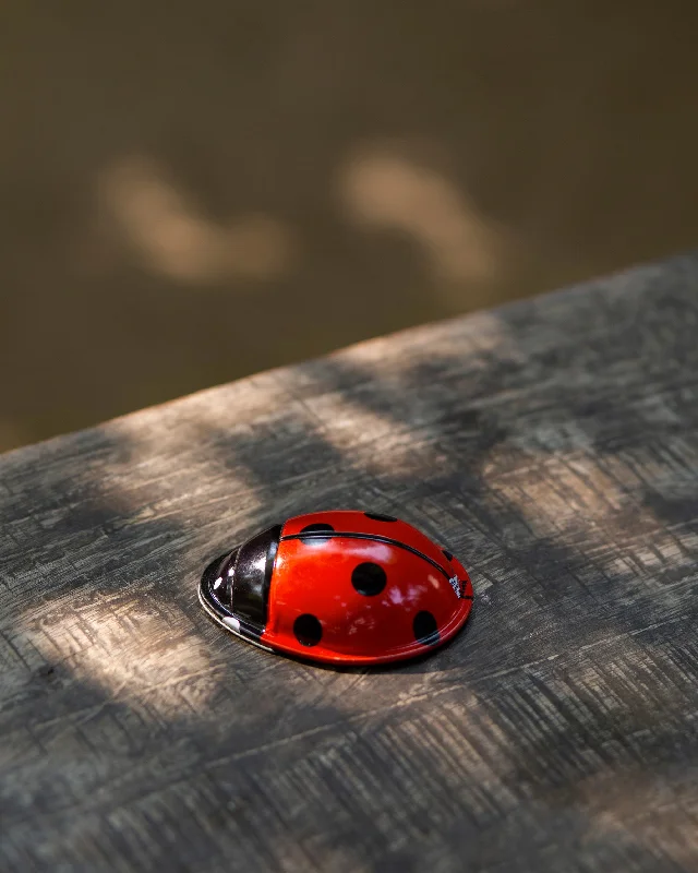 - Smart cat litter box with automatic cleaning Lady Bug Clicker Toy