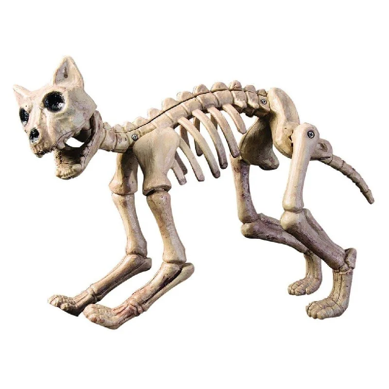 - Pregnant cat delivery room warming box Cat skeleton