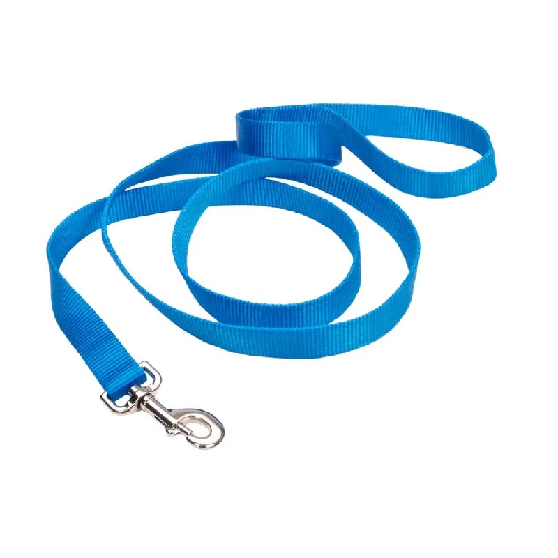 5. **Dog toy sound ball**Coastal Nylon Blue Dog Leash