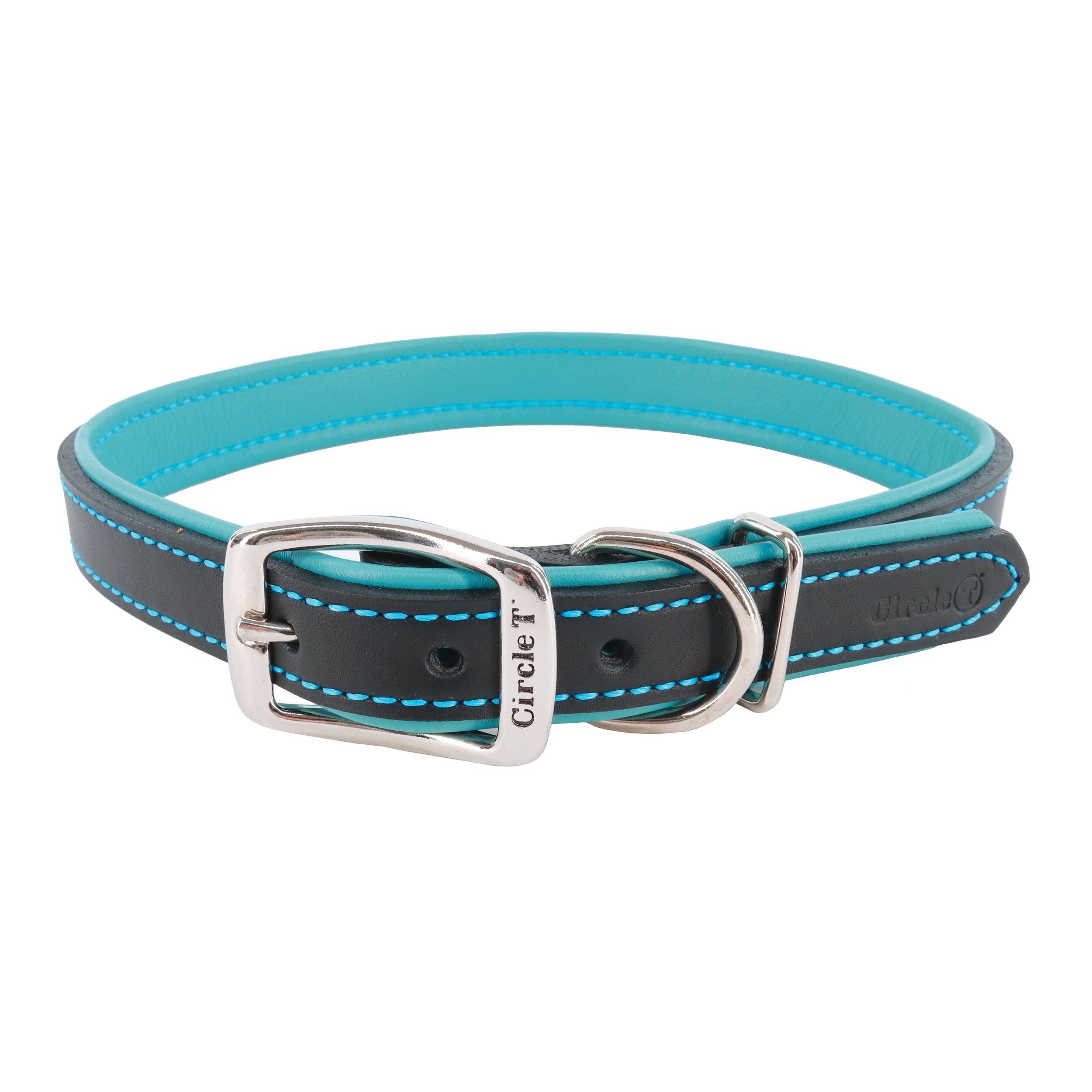 ### Cat accessoriesCircle T Layered Fashion Leather Dog Collar, Black & Teal