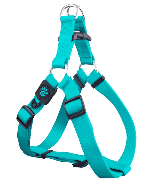2. **Dog raincoat is waterproof and windproof**Doco - Turquoise Dog Harness