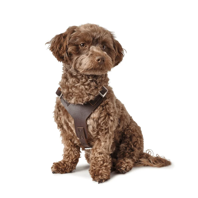 8. **Cat food bowl anti-overturning**Hunter Aalborg Soft Genuine Leather Dog Harness, Dark Brown 8. **Cat food bowl anti-overturning**Hunter Aalborg Soft Genuine Leather Dog Harness, Dark Brown
