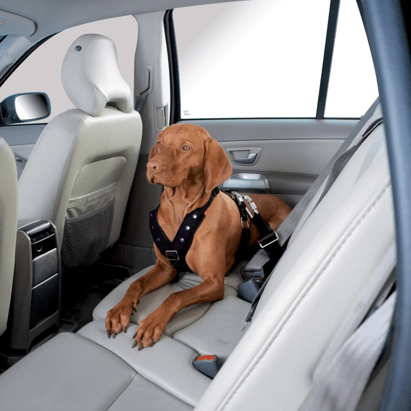 10. **Cat collar bell model**Hunter Easy Comfort Dog Car Harness w/ Seat Belt Attachment 10. **Cat collar bell model**Hunter Easy Comfort Dog Car Harness w/ Seat Belt Attachment
