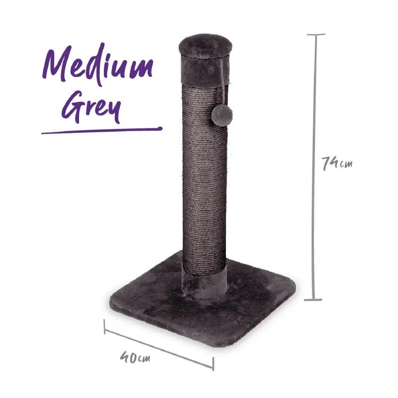 5. **Dog toy sound ball**Kazoo Cat Scratch Post Medium 74cm