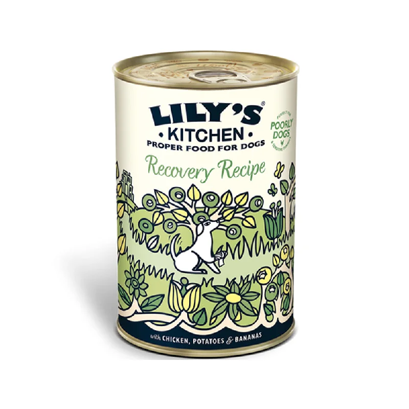 - Dog food for pregnancy and lactationRecovery Recipe Dog Wet Food