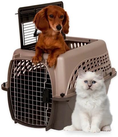 4. **Pet toys are bite-resistant and wear-resistant**Petmate Two Door Top Load Pet Kennel 4. **Pet toys are bite-resistant and wear-resistant**Petmate Two Door Top Load Pet Kennel