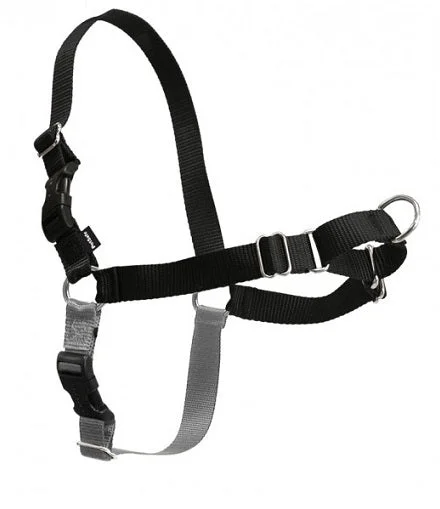 10. **Cat collar bell model**PetSafe Easy Walk Black & Silver Dog Harness