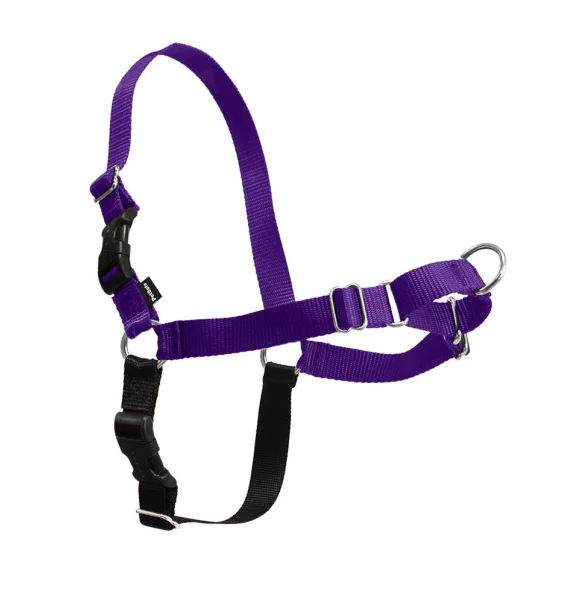 4. **Dog muzzle is breathable**PetSafe Easy Walk Deep Purple & Black Dog Harness