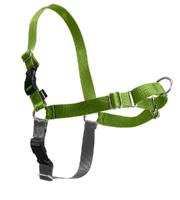 9. **Dog paw cream is winter**PetSafe Easy Walk Green Apple & Gray Dog Harness