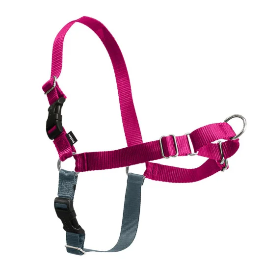 8. **Dog snack bag is portable**PetSafe Easy Walk Raspberry & Gray Dog Harness