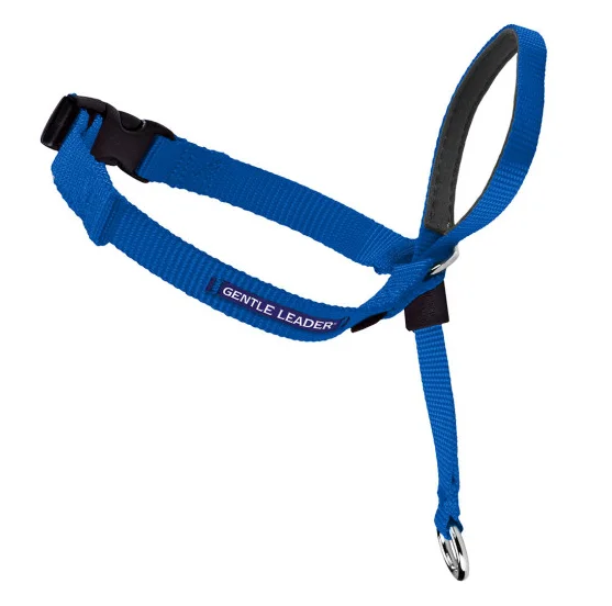 1. **Cat scratching board corrugated paper**Petsafe Gentle Leader Quick Release Royal Blue Headcollar for Dogs 1. **Cat scratching board corrugated paper**Petsafe Gentle Leader Quick Release Royal Blue Headcollar for Dogs