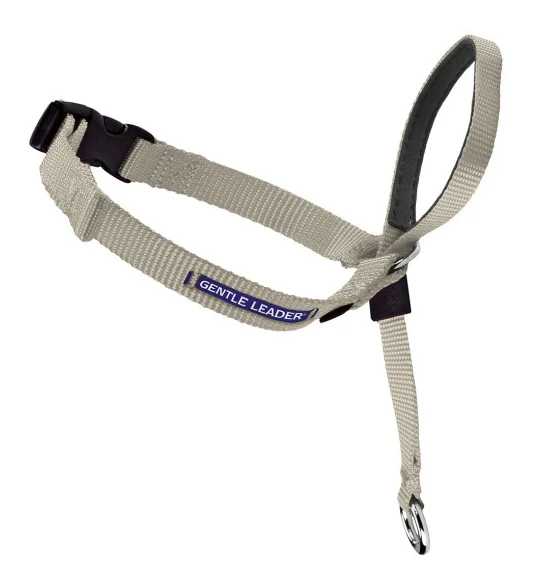 1. **Cat scratching board corrugated paper**Petsafe Gentle Leader Quick Release Fawn Headcollar for Dogs 1. **Cat scratching board corrugated paper**Petsafe Gentle Leader Quick Release Fawn Headcollar for Dogs