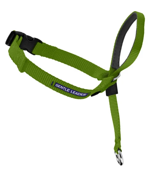 2. **Cat toy cat teaser**Petsafe Gentle Leader Quick Release Green Apple Headcollar for Dogs 2. **Cat toy cat teaser**Petsafe Gentle Leader Quick Release Green Apple Headcollar for Dogs