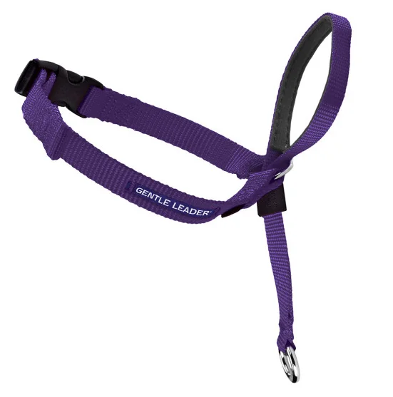 9. **Cat clothes cute model**Petsafe Gentle Leader Quick Release Purple Headcollar for Dogs 9. **Cat clothes cute model**Petsafe Gentle Leader Quick Release Purple Headcollar for Dogs