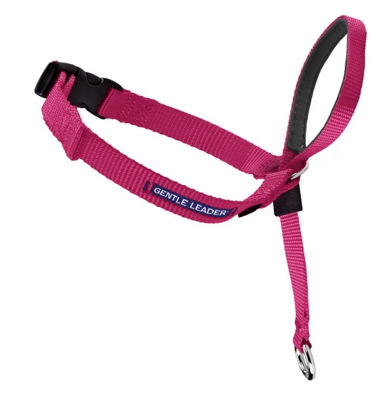 10. **Dog bathing brush massage**Petsafe Gentle Leader Quick Release Raspberry Headcollar for Dogs 10. **Dog bathing brush massage**Petsafe Gentle Leader Quick Release Raspberry Headcollar for Dogs