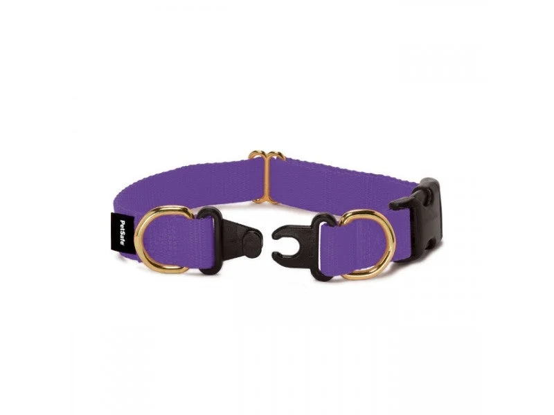 ### Cat accessoriesPetSafe Keep Safe Break Away Deep Purple Dog Collar