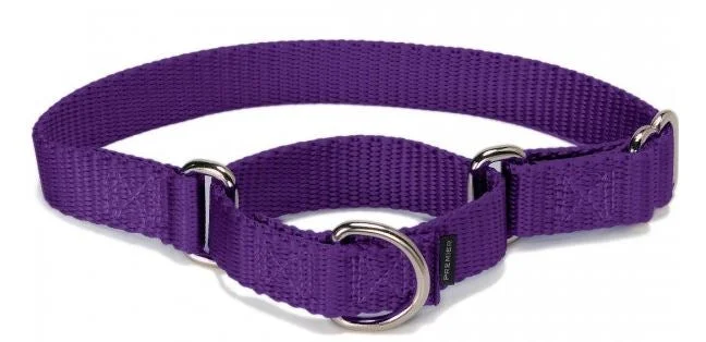 8. **Dog snack bag is portable**PetSafe Premier Martingale Deep Purple Pet Collar