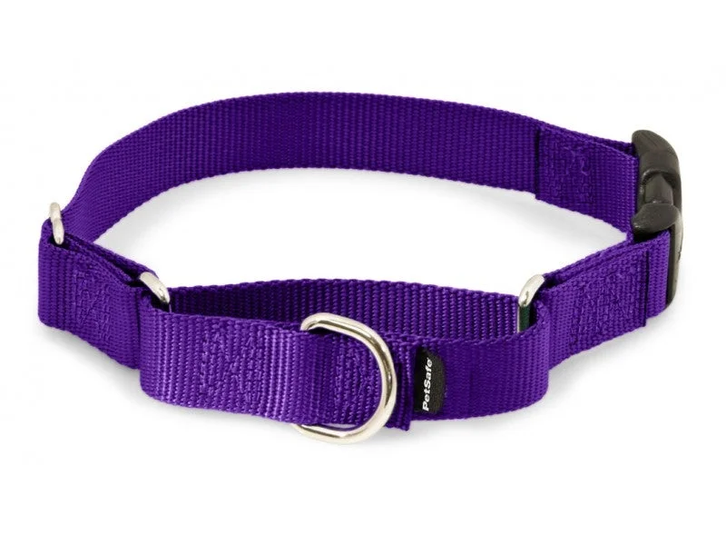 1. **Cat scratching board corrugated paper**PetSafe Premier Martingale Deep Purple Quick Snap Pet Collar