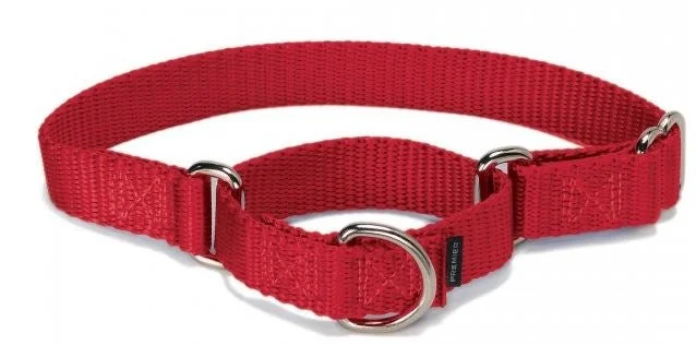 2. **Cat toy cat teaser**PetSafe Premier Martingale Red Pet Collar