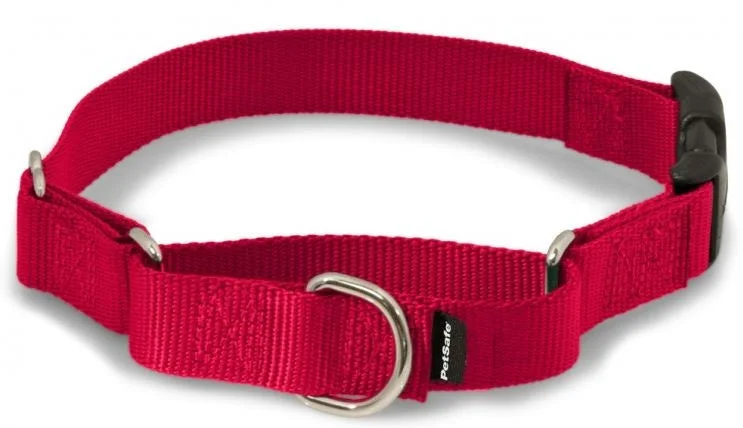 9. **Dog paw cream is winter**PetSafe Premier Martingale Red Quick Snap Pet Collar