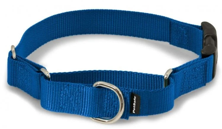 3. **Cat backpack space capsule**PetSafe Premier Martingale Royal Blue Quick Snap Pet Collar 3. **Cat backpack space capsule**PetSafe Premier Martingale Royal Blue Quick Snap Pet Collar
