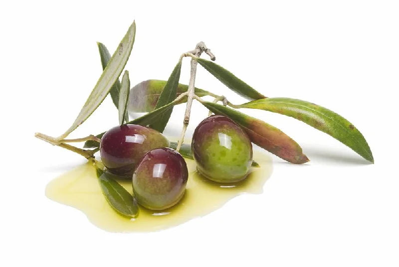    - High-protein cat food  Pristine Olive Oil - Coratina