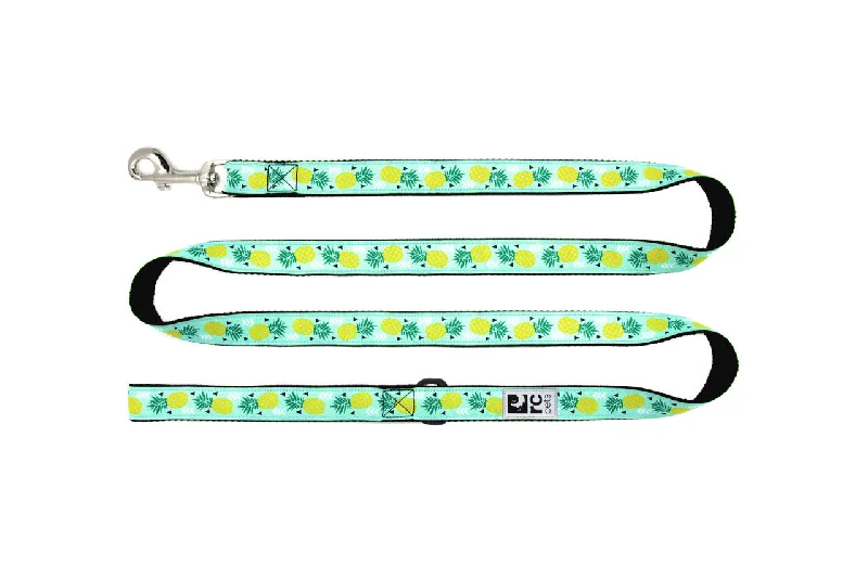 6. **Cat nest winter warmth**RC Pet Leash Pineapple Parade