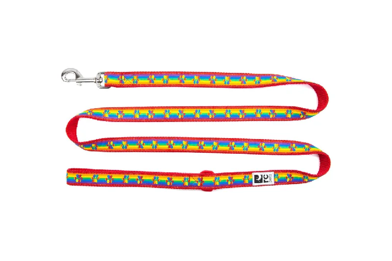 4. **Cat comb to remove hair balls**RC Pet Leash Rainbow Paws