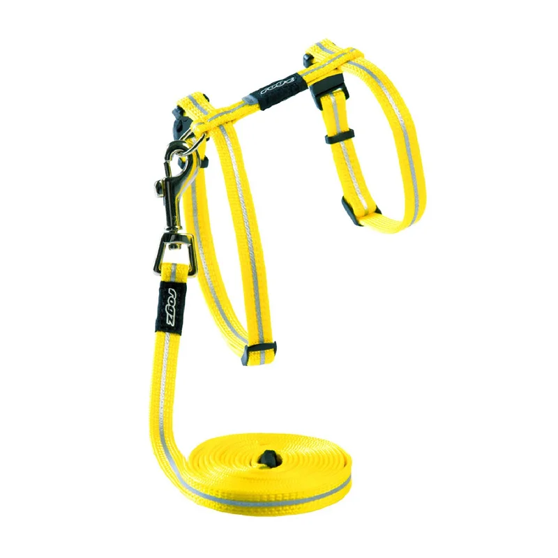 Dayglo Yellow