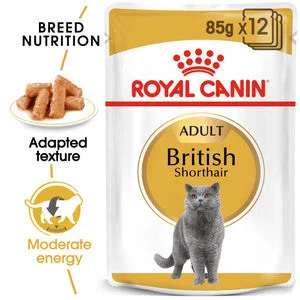 - Purina Pro Plan cat food palatability Royal Canin British Shorthair Adult Wet Cat Food (85g x 12 Gravy Pouches) - Purina Pro Plan cat food palatability Royal Canin British Shorthair Adult Wet Cat Food (85g x 12 Gravy Pouches)