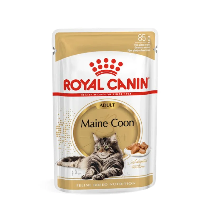 - Cat food for dental health Royal Canin Maine Coon Adult Wet Cat Food (85g x 12 Gravy Pouches) - Cat food for dental health Royal Canin Maine Coon Adult Wet Cat Food (85g x 12 Gravy Pouches)
