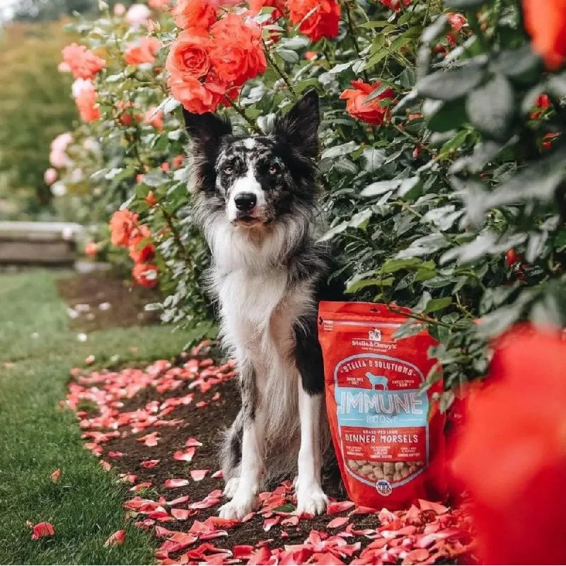 -Grain-free dog food recommendationStella's Solutions Immune Support Freeze Dried Grass Fed Lamb - Dinner Morsels Dog Food -Grain-free dog food recommendationStella's Solutions Immune Support Freeze Dried Grass Fed Lamb - Dinner Morsels Dog Food