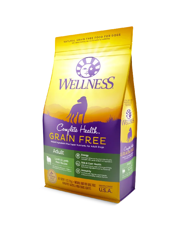 - Special food for senior dogsWellness Complete Health Grain Free Lamb & Lamb Meal Dry Dog Food (2 Sizes) - Special food for senior dogsWellness Complete Health Grain Free Lamb & Lamb Meal Dry Dog Food (2 Sizes)