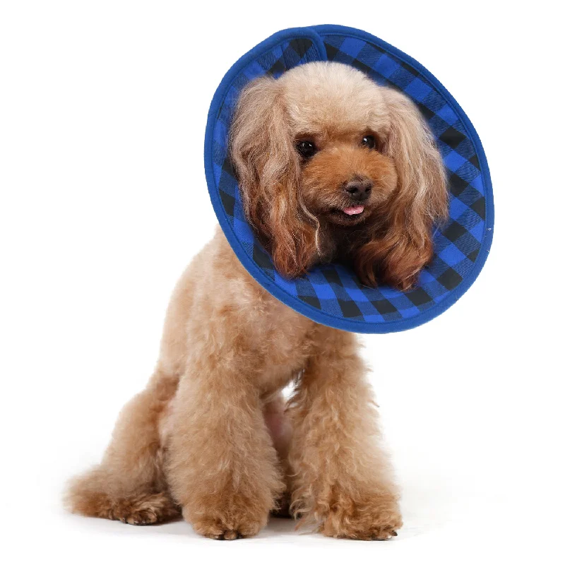 9. **Dog paw cream is winter**Candace Flannel Soft Recovery Collar Blue
