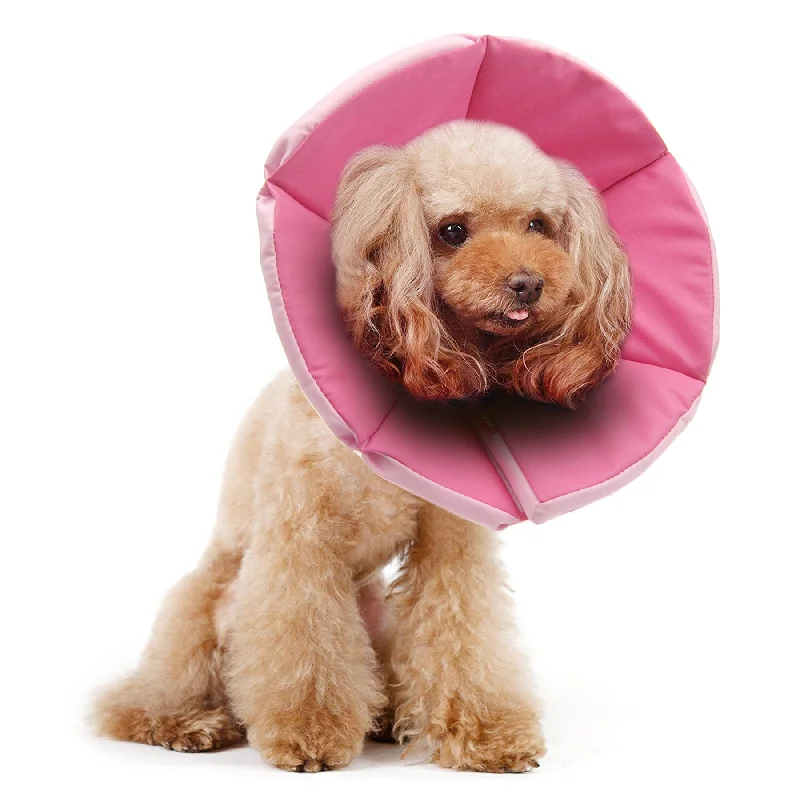 1. **Pet collar with custom engraving**Keeva Recovery Collar Pink