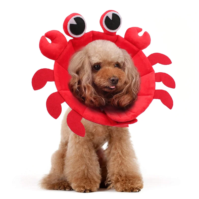 3. **Dog shoes are anti-slip and wear-resistant**Noah Crab Recovery Collar