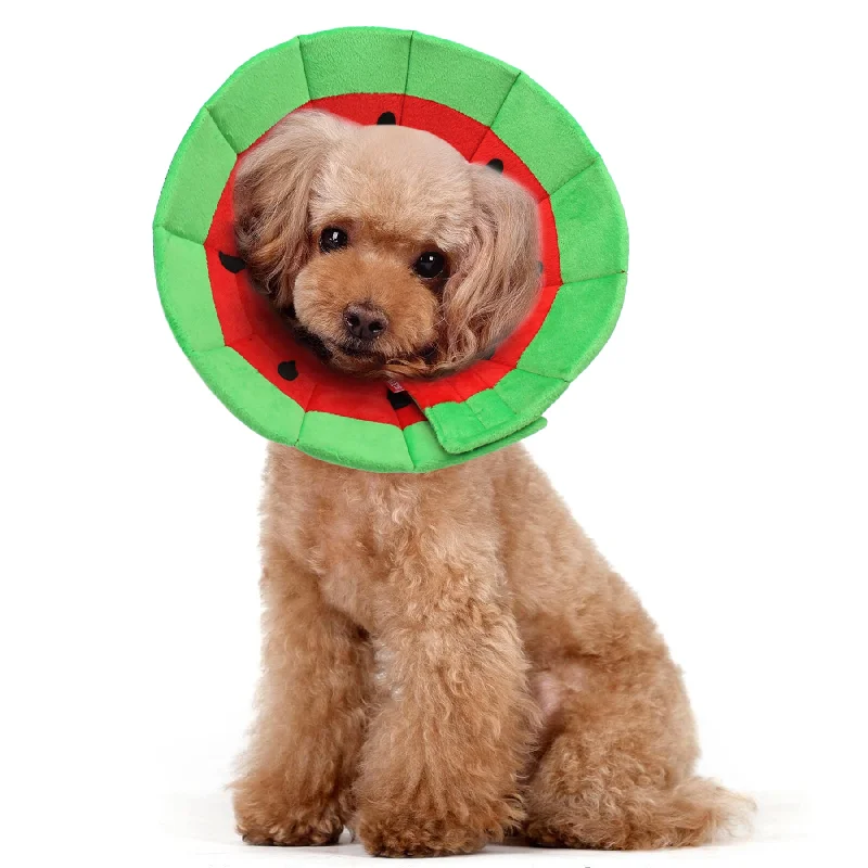 ### Cat accessoriesMarcos Watermelon Recovery Collar