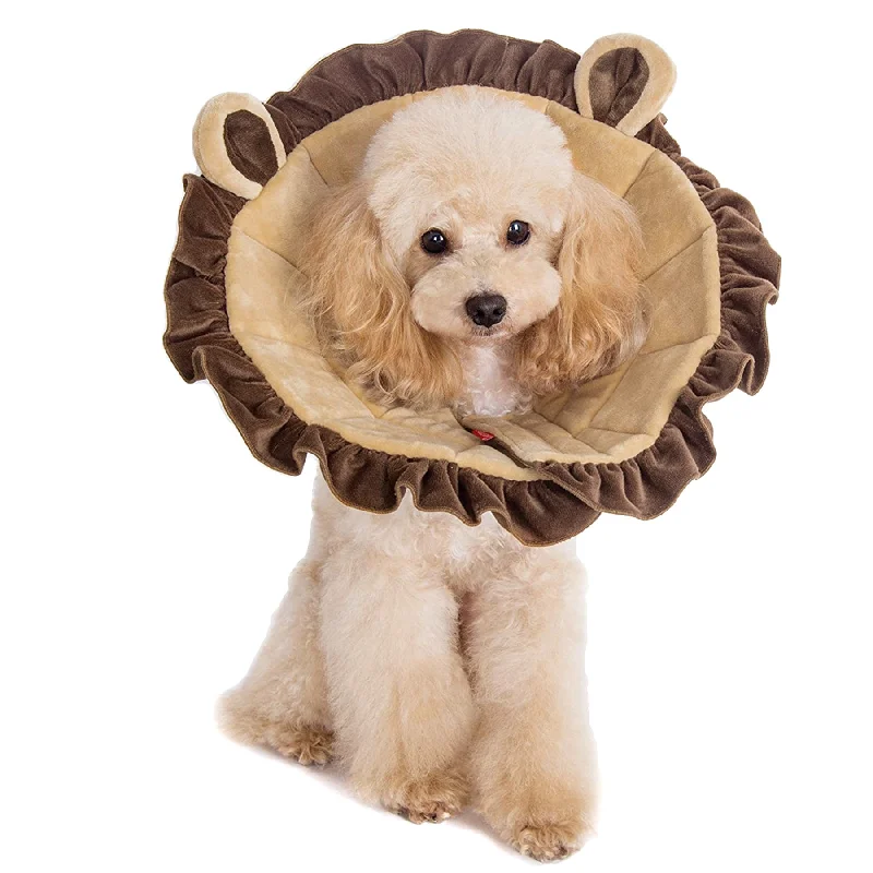 7. **Dog traction rope is automatically retractable**Noah Lion Recovery Collar
