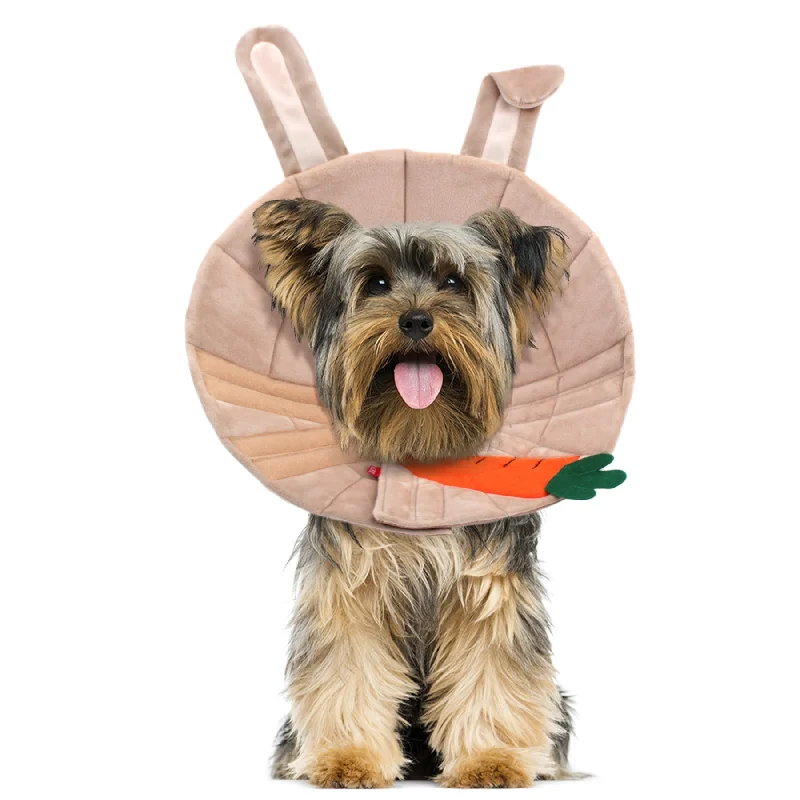 1. **Cat scratching board corrugated paper**Noah Rabbit Recovery Collar