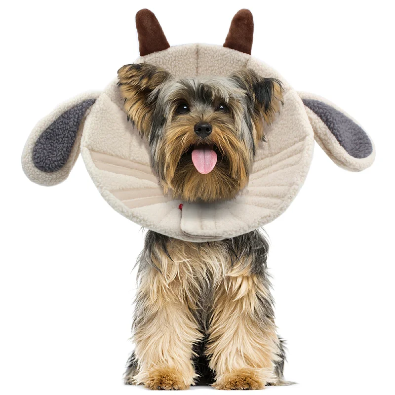 ### Cat accessoriesNoah Sheep Recovery Collar