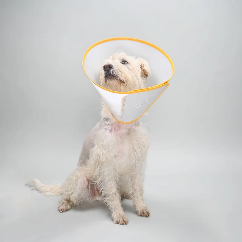 2. **Cat toy cat teaser**Animal Ortho Care Pet Cone - E-Collar | Dog Cone | Recovery Cone 2. **Cat toy cat teaser**Animal Ortho Care Pet Cone - E-Collar | Dog Cone | Recovery Cone