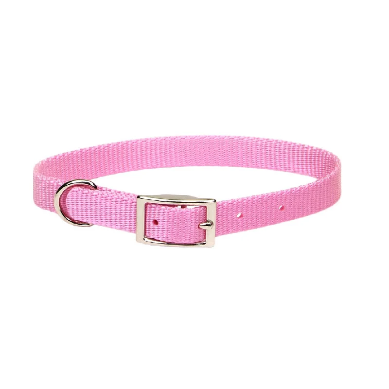 9. **Pet nail clippers with LED lights**Coastal Single-Ply Dog Collar