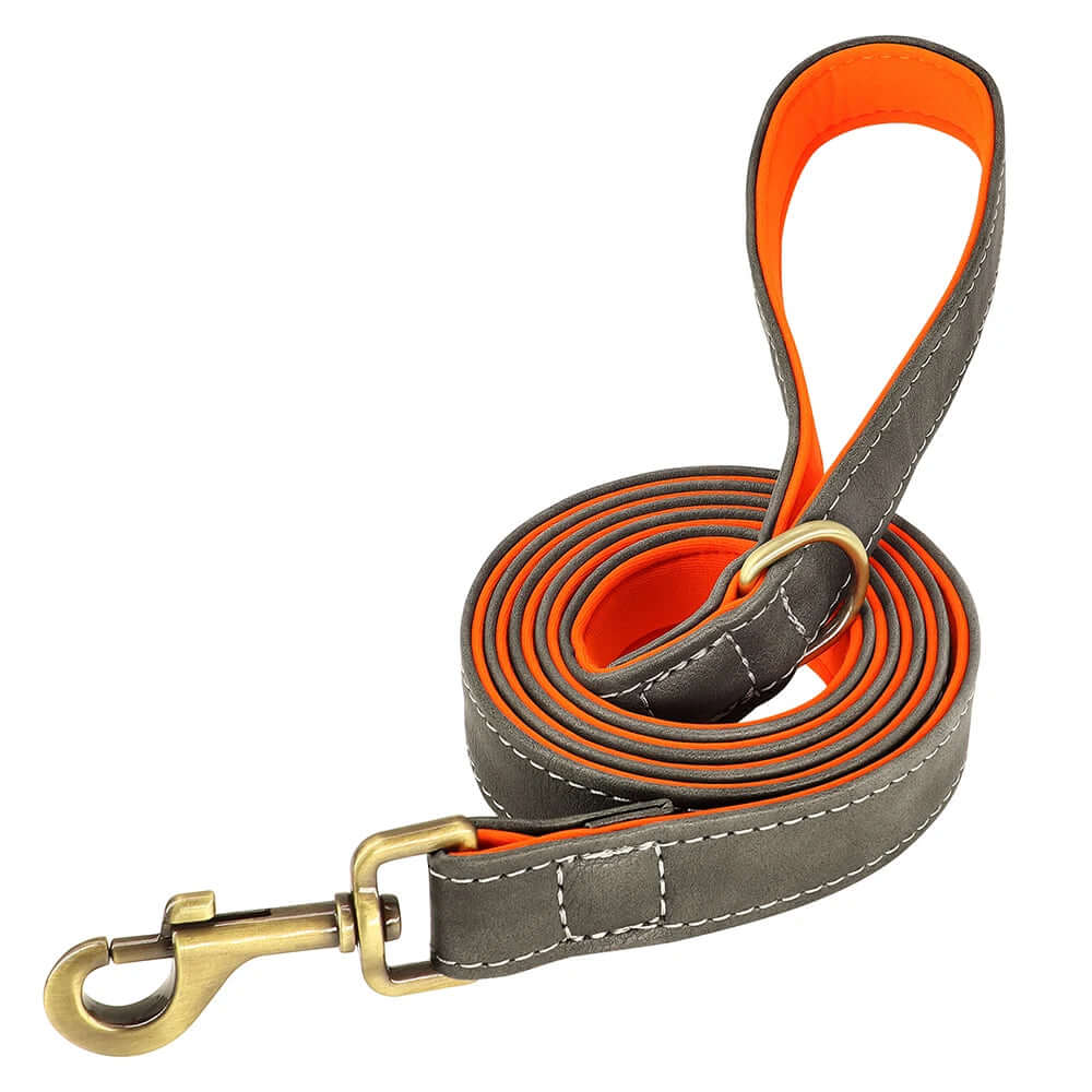 Gray Leash