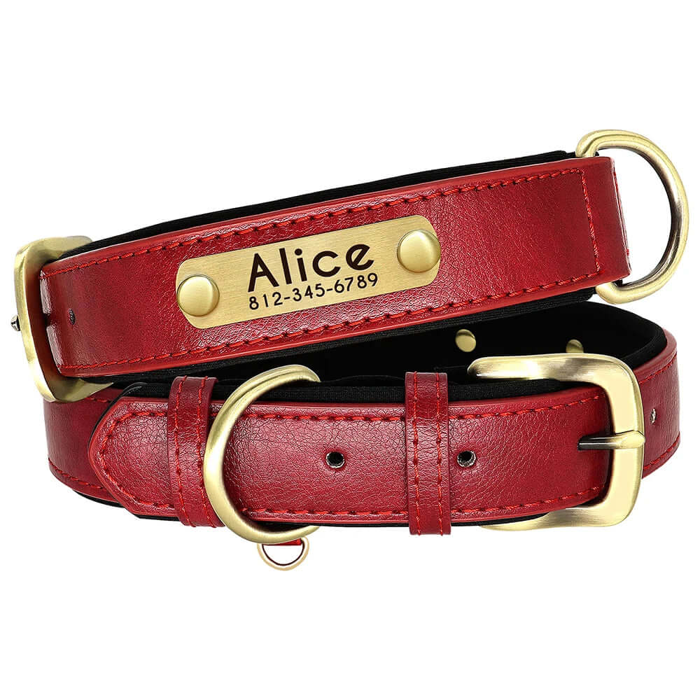Red Collar