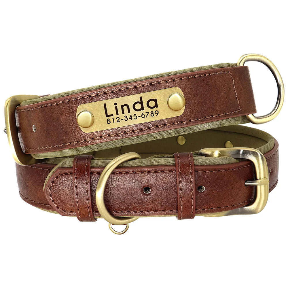 Brown Collar