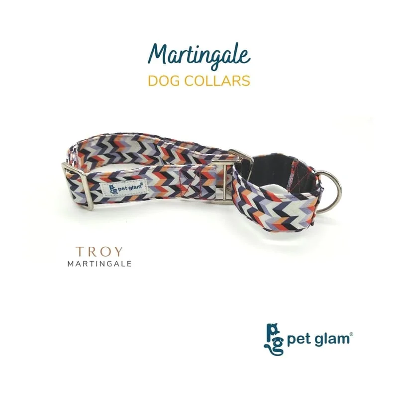 1. **Pet collar with custom engraving**Pet Glam Martingale Dog Collar, Troy