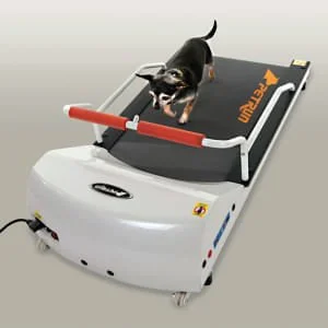 - Wooden pet toy recommendationsPetRun Toy Breed Treadmill (PR700)