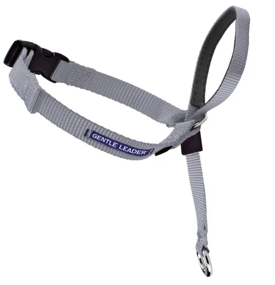 ### General pet accessoriesPetsafe Gentle Leader Quick Release Silver Headcollar for Dogs (Small, 5-25 lbs) ### General pet accessoriesPetsafe Gentle Leader Quick Release Silver Headcollar for Dogs (Small, 5-25 lbs)