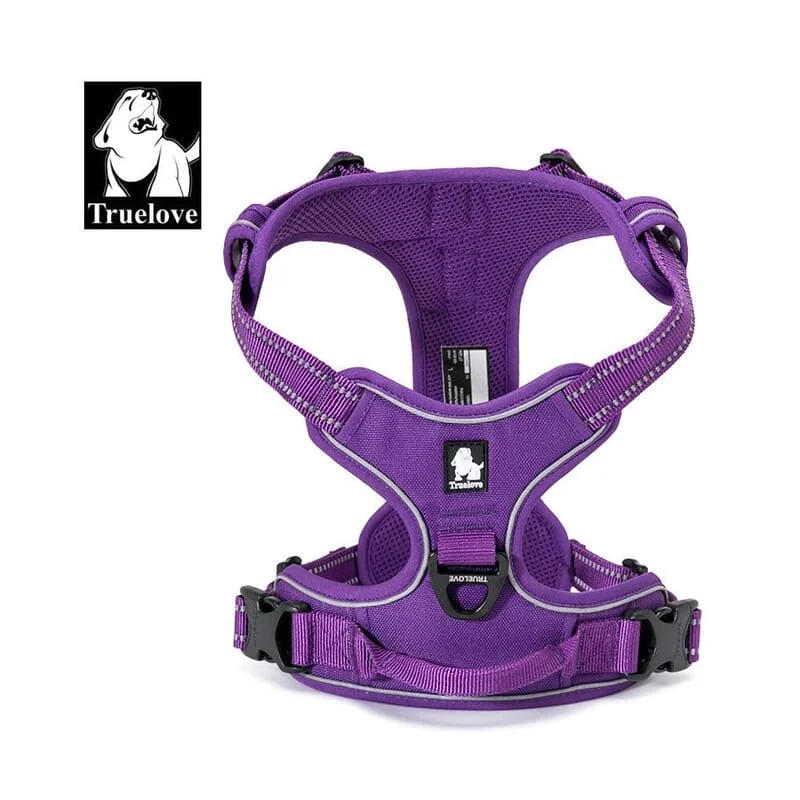 5. **Dog toy sound ball**Truelove Classic Harness For Dogs
